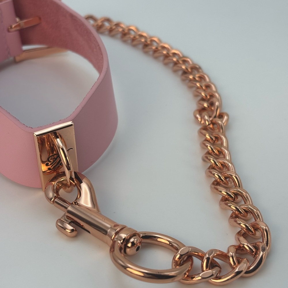 Honey Birdette Rose Gold limited Edition Deluxe Kit Collar & Chain - Picture 7 of 8